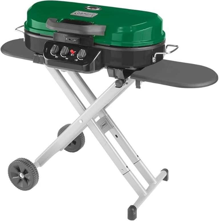 Top 5 Best Portable BBQ Gas Grills for 2026 – Expert Tested